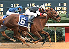 Grade I Winner Shotgun Gulch Injured, Retired Grade I Winner Shotgun Gulch Injured, Retired