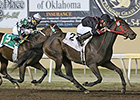 Springboard Mile Pits Bayerd, Shotgun Kowboy Springboard Mile Pits Bayerd, Shotgun Kowboy