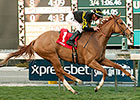 Shrinking Violet Steps Out in Monrovia Win Shrinking Violet Steps Out in Monrovia Win