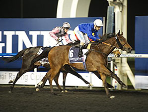 Shuruq Trounces Males in Maktoum Challenge Shuruq Trounces Males in Maktoum Challenge