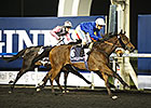 Shuruq Trounces Males in Maktoum Challenge Shuruq Trounces Males in Maktoum Challenge