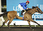 Shuruq Streaks to U.A.E. Oaks Victory Shuruq Streaks to U.A.E. Oaks Victory