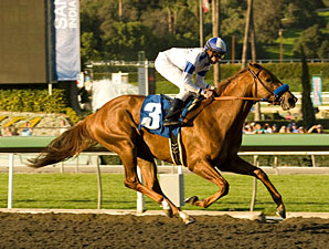 Sweet Win for Sidney's Candy in San Vicente Sweet Win for Sidney's Candy in San Vicente