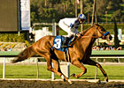 Sweet Win for Sidney's Candy in San Vicente