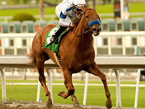 Sidney's Candy Looks Sharp for Mervyn Leroy Sidney's Candy Looks Sharp for Mervyn Leroy
