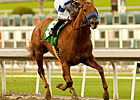 Sidney's Candy Looks Sharp for Mervyn Leroy