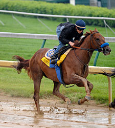 Sidney's Candy Impressive in 6F Work Sidney's Candy Impressive in 6F Work