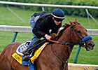 Sidney's Candy Impressive in 6F Work Sidney's Candy Impressive in 6F Work