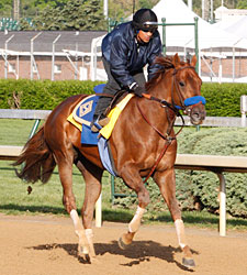 Eskendereya, Sidney's Candy Drill for Derby Eskendereya, Sidney's Candy Drill for Derby