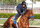 Eskendereya, Sidney's Candy Drill for Derby