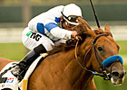 Sidney's Candy to Pass Del Mar Derby Sidney's Candy to Pass Del Mar Derby