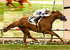 Oak Tree Mile Lures Turf Star Sidney's Candy