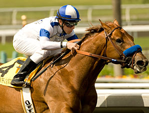 Kentucky Derby Trail: Random Thoughts Kentucky Derby Trail: Random Thoughts