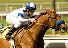 Kentucky Derby Trail: Random Thoughts