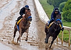 Despite Rain, Most Derby Works Go As Planned