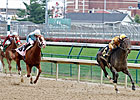 Gal About Town Hopes for Oaks from Golden Rod Gal About Town Hopes for Oaks from Golden Rod