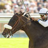 Silent Name to Adena Springs
