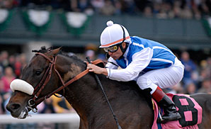 Citation 'Cap Wide Open Citation 'Cap Wide Open