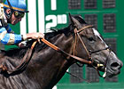 Silent Roar Sets Course Record in Oceanport