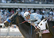 Grade I Winner Silent Sighs Retired Grade I Winner Silent Sighs Retired
