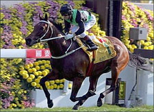 Silent Witness Best in Sprint; Battle Won Finishes in Mid-Pack Silent Witness Best in Sprint; Battle Won Finishes in Mid-Pack