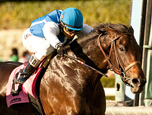 Silentio Packs Top Weight in 14-Horse Arcadia Silentio Packs Top Weight in 14-Horse Arcadia