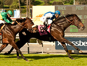 Silentio Shows Style with Sir Beaufort Win Silentio Shows Style with Sir Beaufort Win