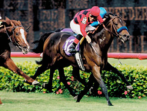 Silic, 1999 BC Mile Winner, Sire, Dies Silic, 1999 BC Mile Winner, Sire, Dies