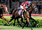 Silic, 1999 BC Mile Winner, Sire, Dies Silic, 1999 BC Mile Winner, Sire, Dies