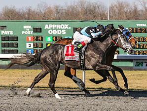 Wellman OK with Longshot Status for Silsita Wellman OK with Longshot Status for Silsita