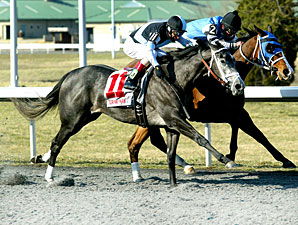 Silsita Just Up in Bourbonette Nail-Biter Silsita Just Up in Bourbonette Nail-Biter