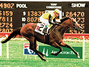 Silvano Bringing Stamina to South Africa Silvano Bringing Stamina to South Africa