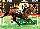 Silvano Bringing Stamina to South Africa Silvano Bringing Stamina to South Africa