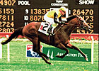 German Stallion Lomitas Dies German Stallion Lomitas Dies
