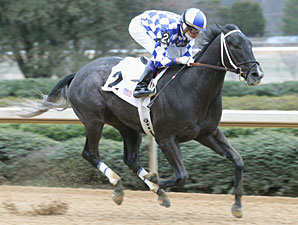 Derby Trial Kicks Off Churchill Meet