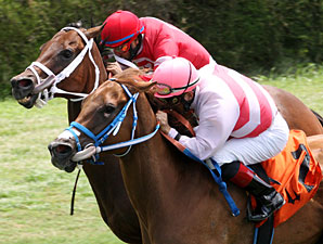 Silver Cloud Determined in Bob Umphrey Win Silver Cloud Determined in Bob Umphrey Win