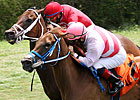 Silver Cloud Determined in Bob Umphrey Win Silver Cloud Determined in Bob Umphrey Win