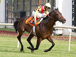Silver Max Adds Arlington Classic to Streak Silver Max Adds Arlington Classic to Streak