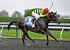 Silver Max is River City 'Cap Highweight Silver Max is River City 'Cap Highweight
