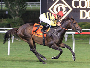 Silver Max: A Monster on Turf Silver Max: A Monster on Turf