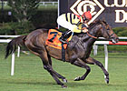 Silver Max: A Monster on Turf Silver Max: A Monster on Turf