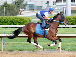 Mr. Ryder Likely Choice in Tropical Turf Mr. Ryder Likely Choice in Tropical Turf