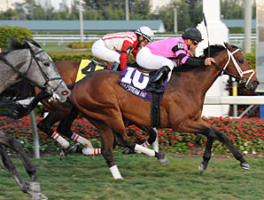 Gulfstream Turf 'Cap to Test Silver Medallion Gulfstream Turf 'Cap to Test Silver Medallion