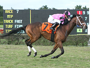 Silver Medallion Grabs Gold in Tropical Turf Silver Medallion Grabs Gold in Tropical Turf
