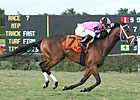 Silver Medallion Grabs Gold in Tropical Turf