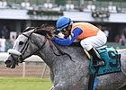 Two Graded Stakes Mares Added to F-T Sale Two Graded Stakes Mares Added to F-T Sale