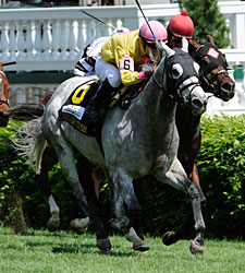 Silver Timber Scorches Churchill Turf Silver Timber Scorches Churchill Turf