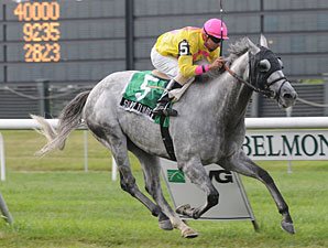 Silver Timber Chops Down Jaipur Foes Silver Timber Chops Down Jaipur Foes