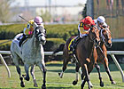 Silver Timber Gets Up By a Neck in Shakertown