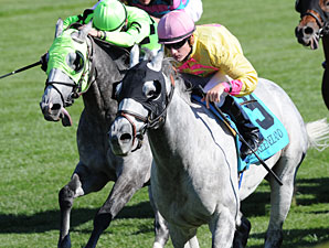 Silver Timber Repeats in Woodford Silver Timber Repeats in Woodford